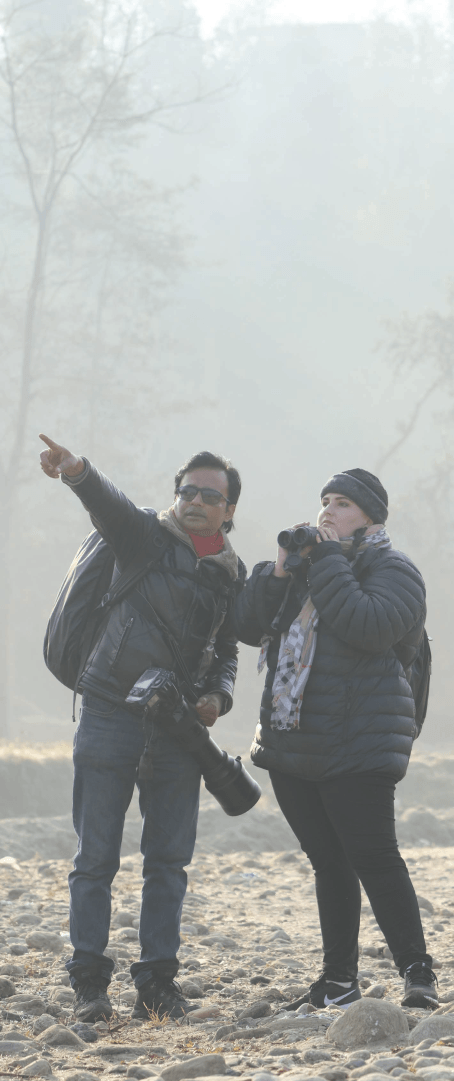 wild photography image