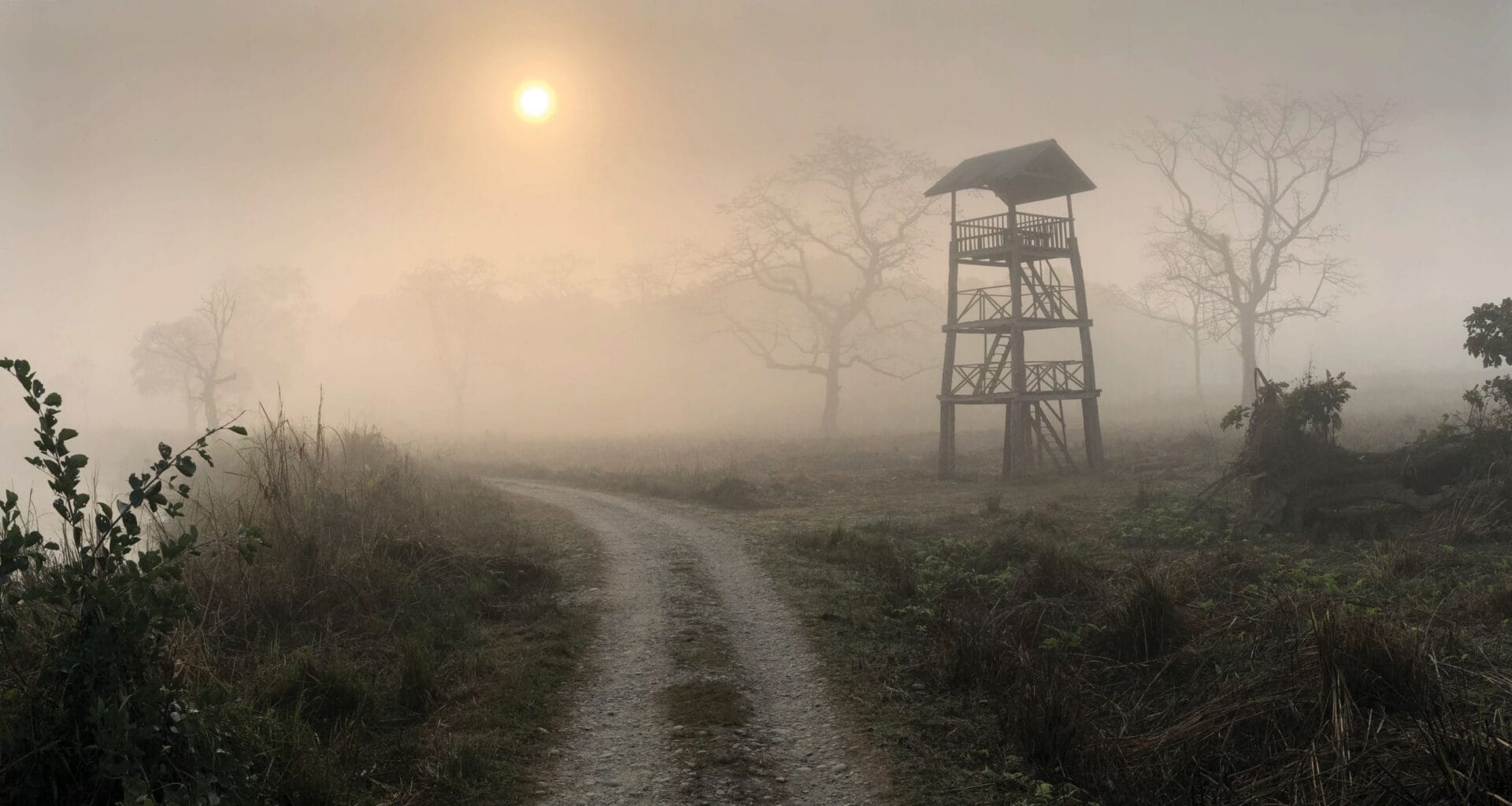 A Journey of Conservation, Photography, and Hope 5