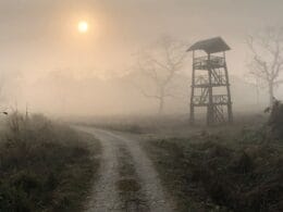 A Journey of Conservation, Photography, and Hope 25
