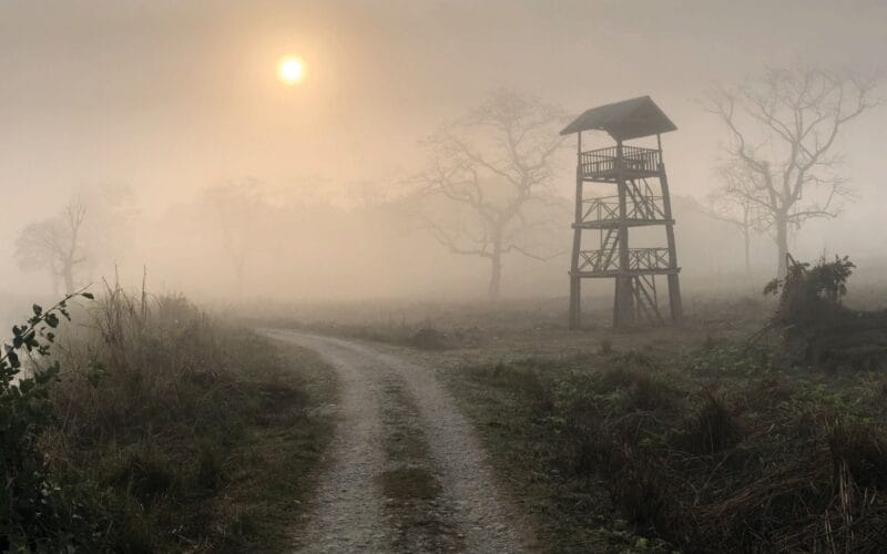 A Journey of Conservation, Photography, and Hope 7